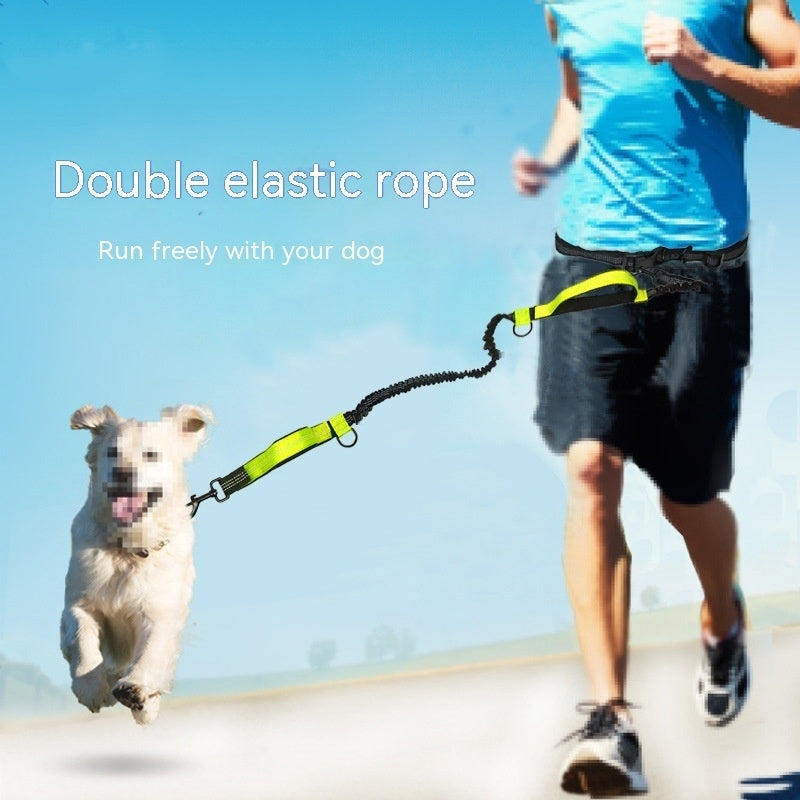 Pet Traction Leash for Easier Walks