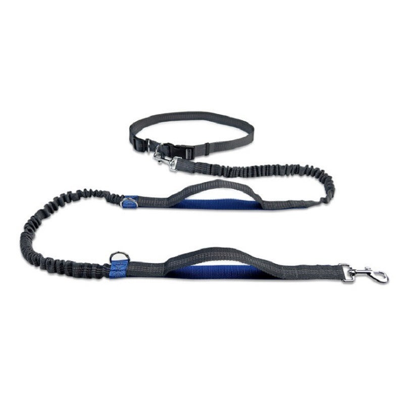 Pet Traction Leash for Easier Walks