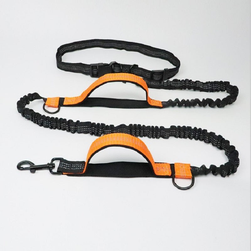 Pet Traction Leash for Easier Walks